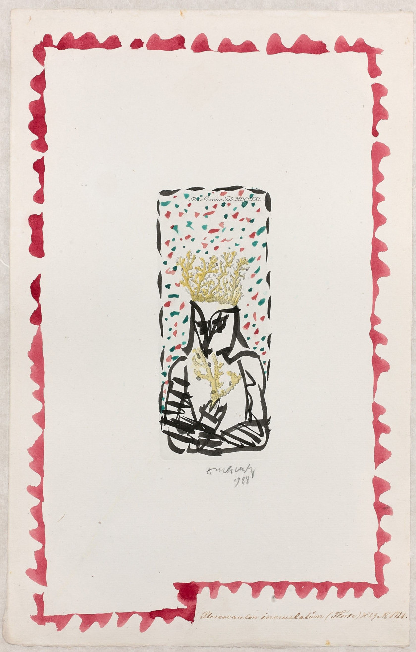 Pierre ALECHINSKY (Né en 1927) Flora Danica - 1988 Encre de Chine rehaussée à l'aquarelle sur une Flora Danica du XVIIIème siècle