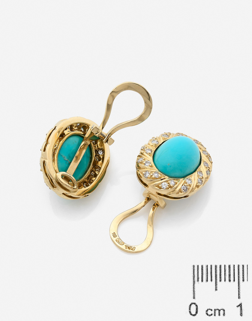 Paire de clips d'oreilles