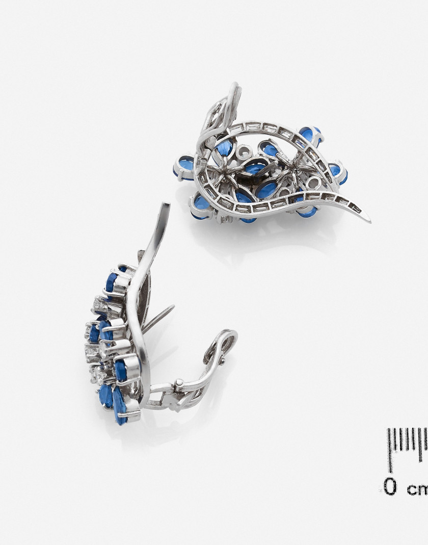 Clip de corsage et paire de boucles d'oreilles