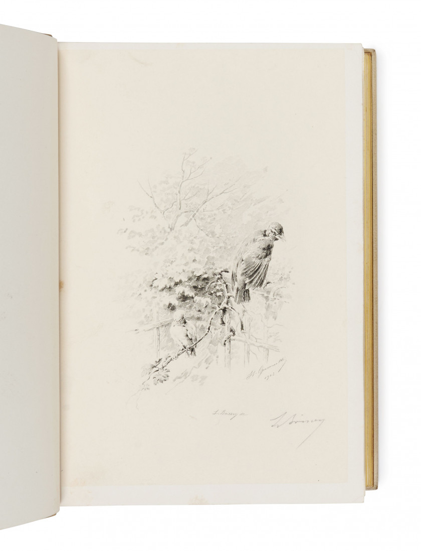 [GIACOMELLI].- MUSSET (Alfred de) Histoire d'un merle blanc. Paris, Librairie L. Conquet, L. Carteret et Cie, succ...