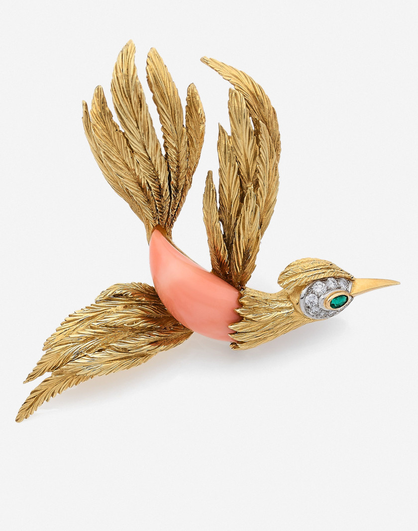 Clip de corsage oiseau de paradis