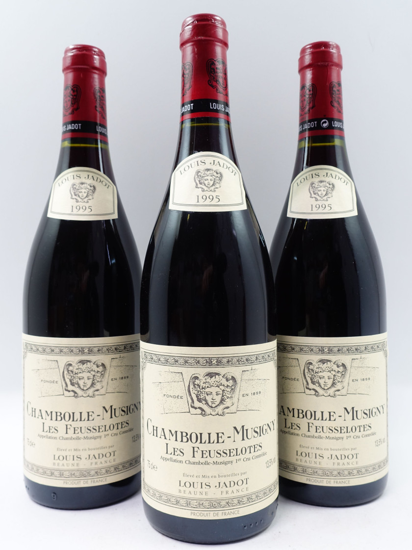 6 bouteilles CHAMBOLLE MUSIGNY 1995 1er cru Les Feusselottes