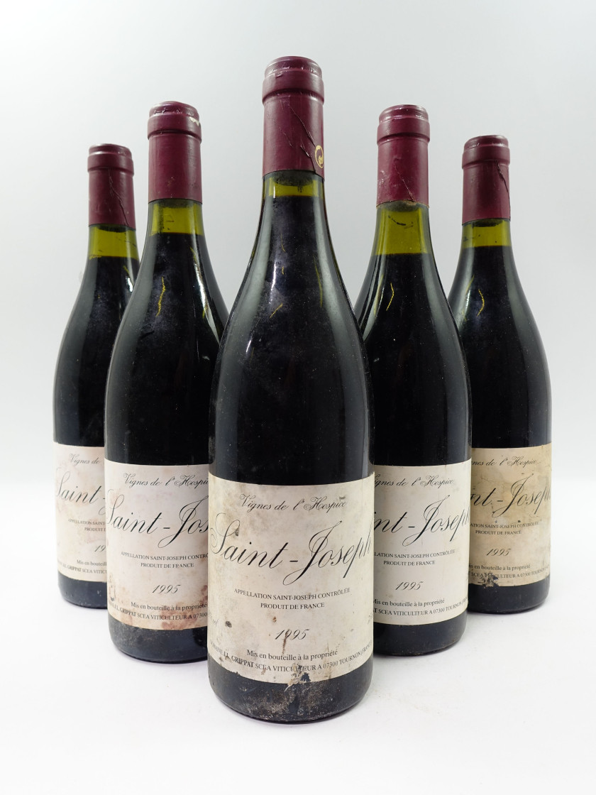 5 bouteilles SAINT JOSEPH 1995 Vignes de l'Hospice