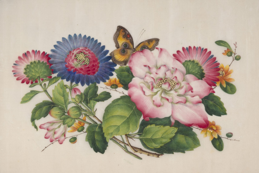 ONZE PEINTURES SUR PAPIER DE RIZ, Chine, Canton, fin du XIXe-début du XXe siècle