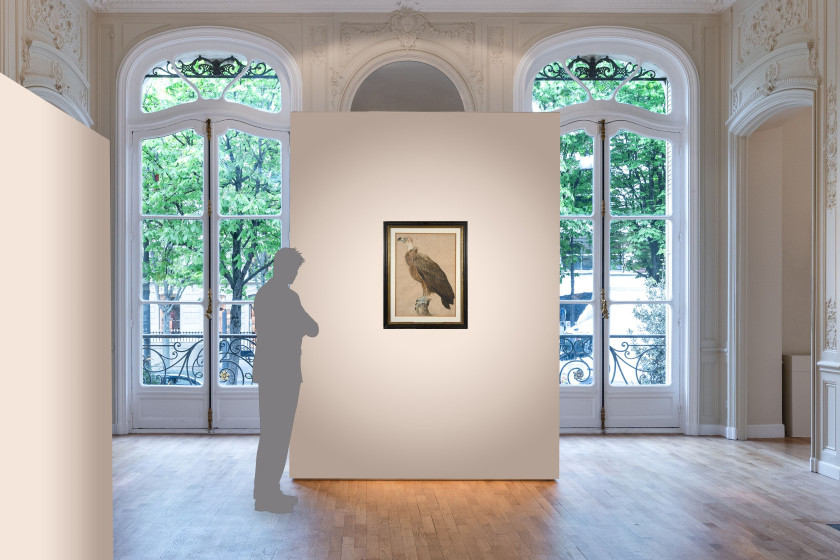 Jacques BARRABAND Aubusson, 1767 - Lyon, 1809 Le vautour brun Aquarelle gouachée sur trait de crayon, découpé sur le pourtour et col...