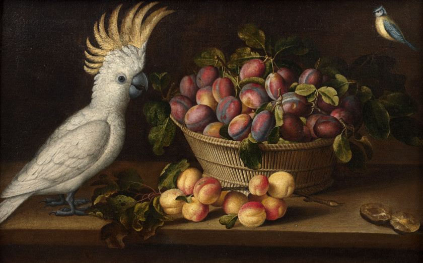 Louyse MOILLON Paris, 1610 - 1696 Composition aux abricots, au panier de prunes, au cacatoès et à la mésange bleue Huile sur toile